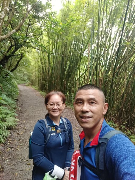 迷霧抹茶山1712749