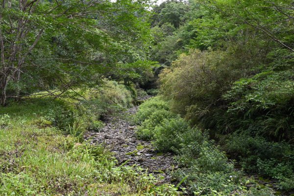 2025_0712 福山植物園2836210