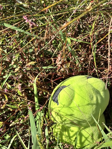 面天山、向天山、向天池2921038