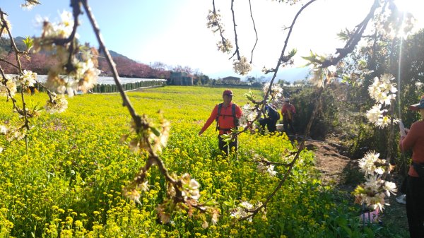 南投草坪頭2714130