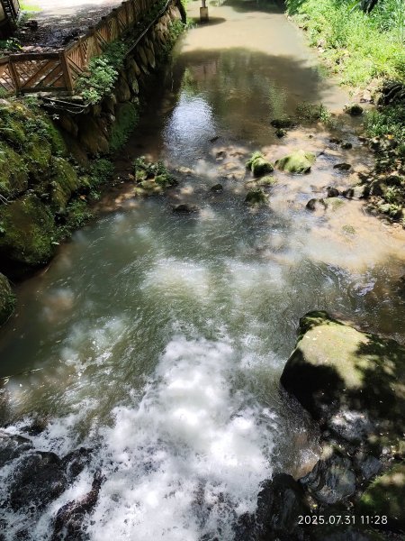 圓覺寺步道→新福本坑→碧湖步道→碧山公園→國立臺灣戲曲學院→碧湖公園→大港墘公園【臺北健走趣】2849245