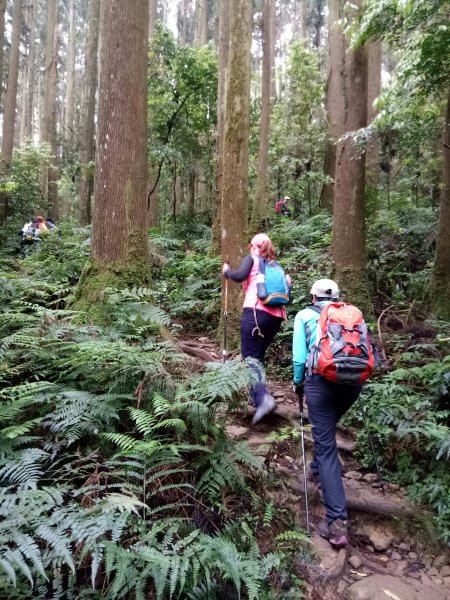 苗栗鹿場-加里山PART3473857