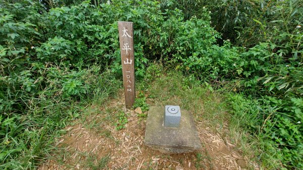 雲嘉九連峰1438963