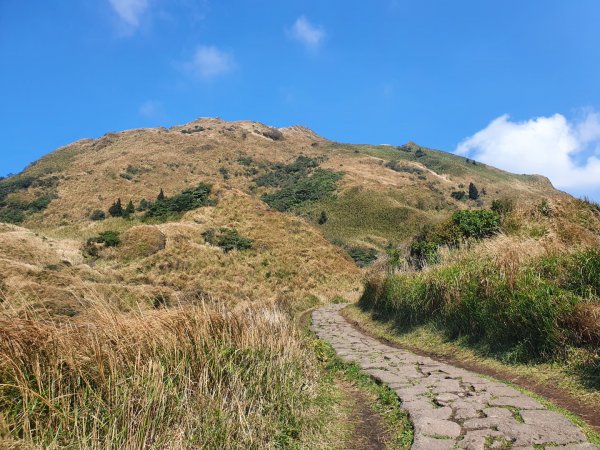 七星山主、東峰登山步道（小百岳）1275234