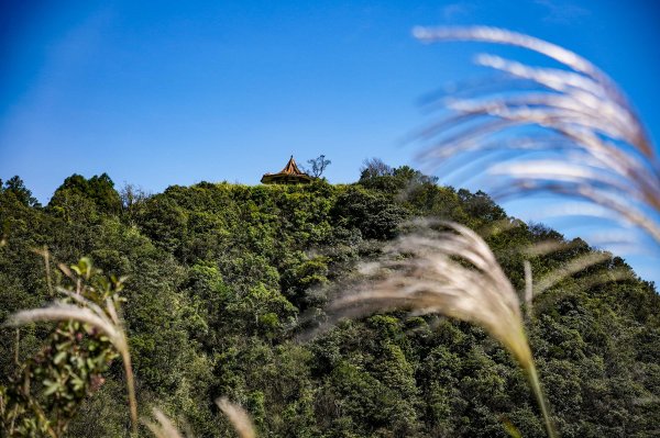 五分山｜小百岳2915446