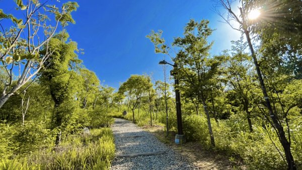 大湳森林公園2817307