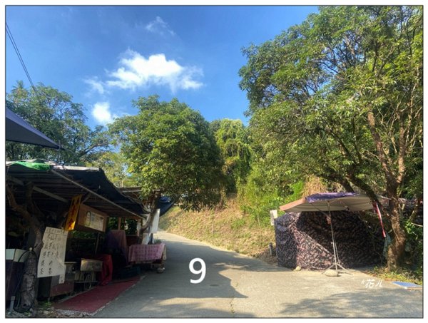 軍功寮山、大坑9、7、6、9-1步道 O型一圈2950763