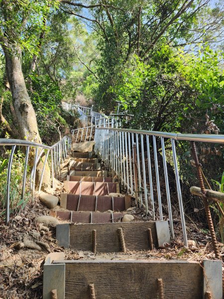 田中森林登山步道2411096