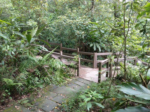 黎和生態公園→富陽自然生態公園→中埔山/東峰→福州山→富陽自然生態公園1438406