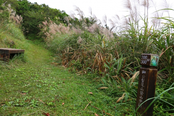 [步道小旅行] 獅公髻尾山登山步道3014