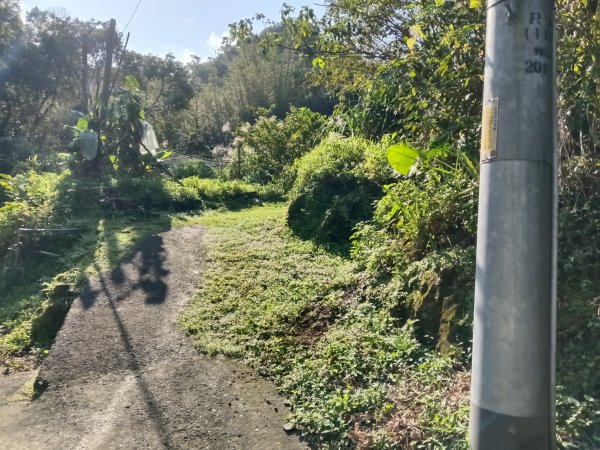 五堵獅頭山無菸步道2969480