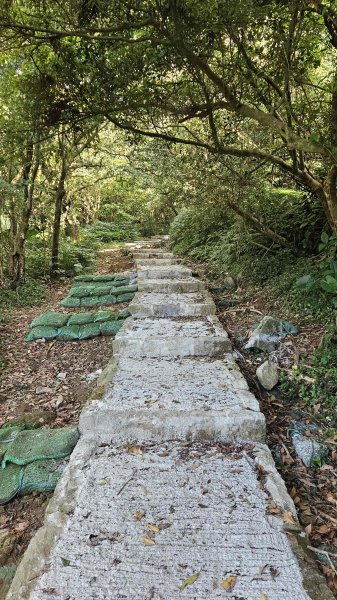 20251015木尾山-竹子湖水尾山-竹子湖西峰(騎車爬山)2915981