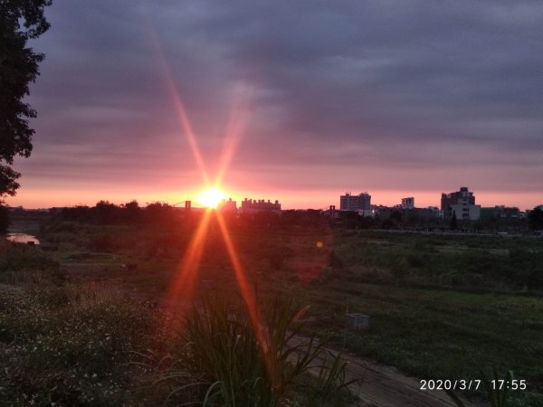 嘉義八掌溪落日餘暉870281