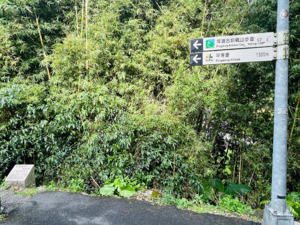 1140926坪頂古圳親山步道2895464