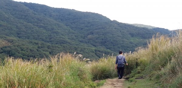 頂山石梯嶺步道777628