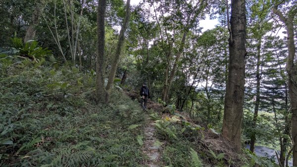 114.11.23龍泉山寺-成福山-十八羅漢岩-石門內尖山-石門內尖山東峰之旅2943725