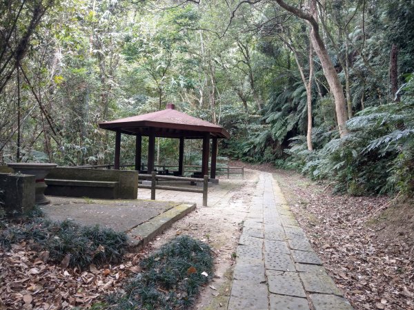 苗栗獅頭山(小百岳#29)風景區步道群 (2020/12/7)1425472