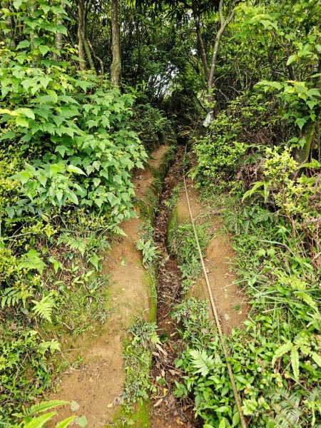 2026年臺北大縱走第三段：小油坑至風櫃口3037896