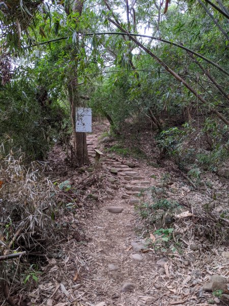 【苗栗-小百岳】全台步道票選冠軍 火炎山819909