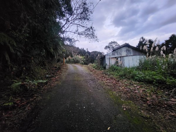 20250105鵝公髻山雲霧步道2726318