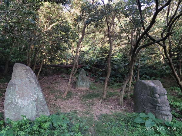 【臺北大縱走 5】碧山巖→忠勇山越嶺步道→金龍產業道路→圓明寺步道→鄭成功廟→潛園→格物台→劍潭古寺2958999