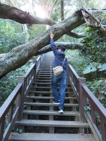 泰安登山步道‧隘勇古道‧巡圳道O形輕鬆走2007518