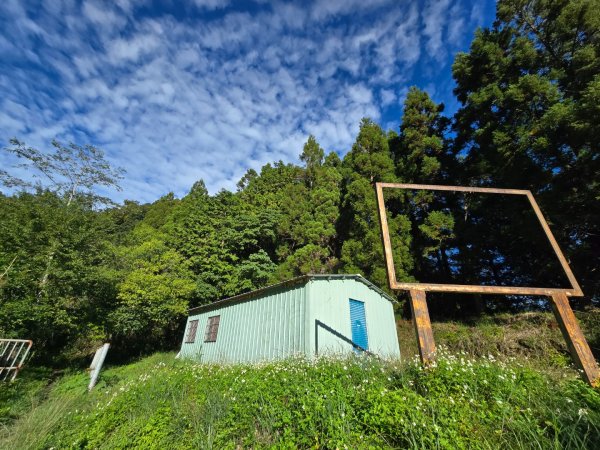 干卓萬山單座百岳驚見‘’萬大豹、水鹿大軍、圓月、雲海、藍天大景2632637