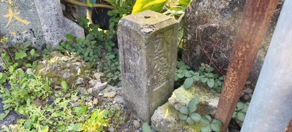 2025/022/22_峨眉湖環湖步道2719285