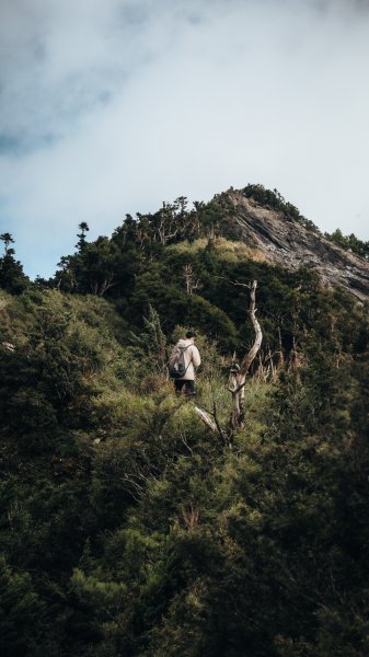 南橫百岳—關山嶺山2383946