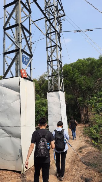 《雲林》坪頂猴族｜龍過脈森林步道上坪頂202403162455436