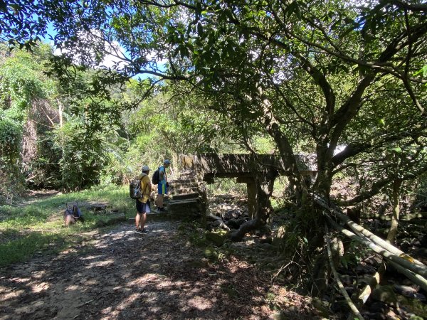 《五指山古道 × 石盤瀑布 × 友蚋山南峰 × 柯子林天然泳池｜尋訪山林古道與靜謐日式庭園》2923006