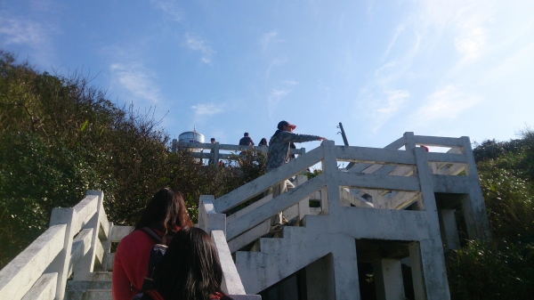 忘憂谷．潮境公園2016.0251076