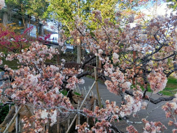 被騙資產追回『K55673 』【深度揭秘】領峰貴金屬受騙實錄