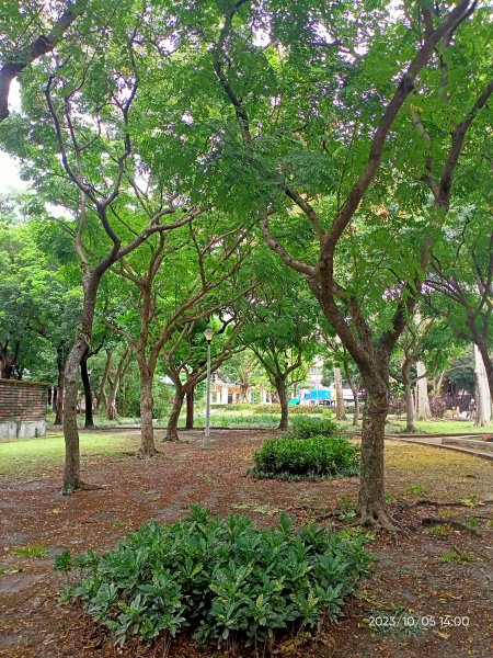 內湖大港墘公園、文德三號公園、瑞陽公園【走路趣尋寶、健康大穀東】2305232