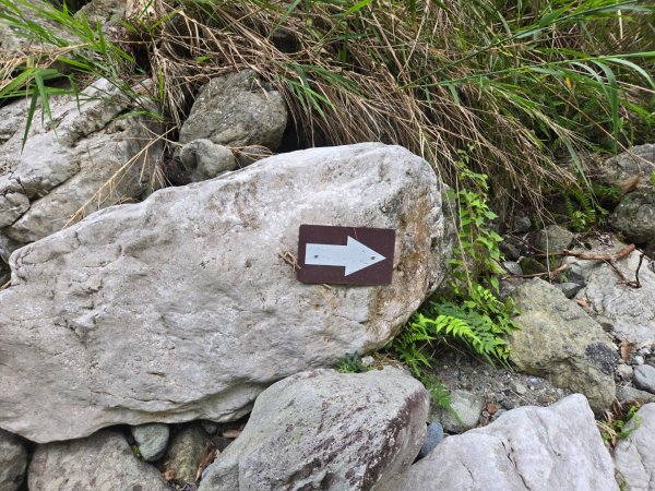 麻荖漏步道、彩虹瀑布2697953