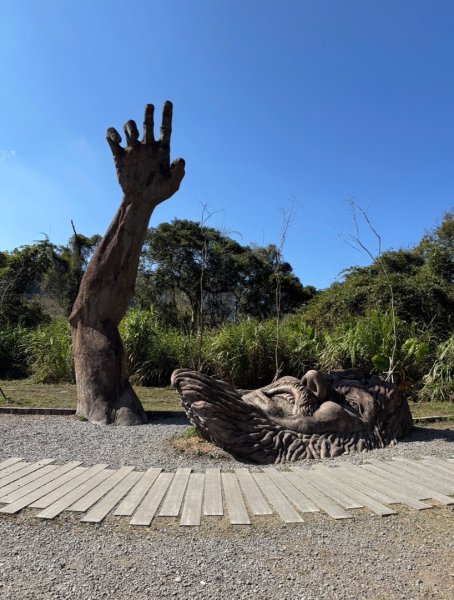 雪山坑登山步道尋巨人2978408