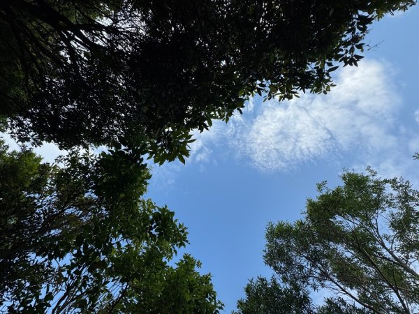 2025/04/19 小百岳第006基隆山2766344