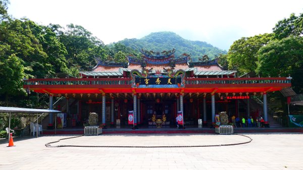 綬草（清明草、一線香或盤龍參）3038863