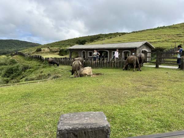 陽明山東西大縱走2786614