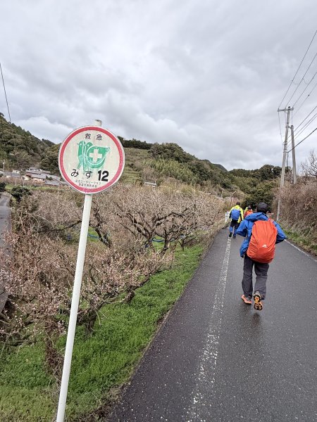 熊野古道中邊路D1 紀伊田邊、潮見峠O繞 2025.3.162744371