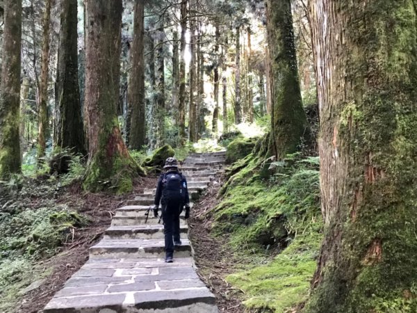 沼平上祝山環走大塔山1110751