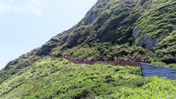 110.0512 基隆嶼登島登塔繞島三合一1385430