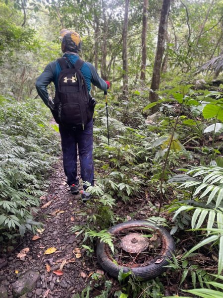 烏來西坑林道/探勘派出護管所彈藥庫遺址至獅坑橋2576298