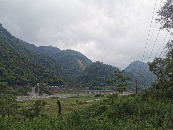 八仙山森林遊樂區松林步道-20/6/13994007