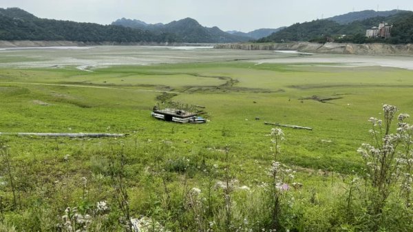 20240429 桃園復興枕頭山薑母島2492301