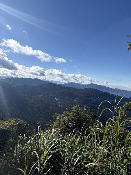 20251225塔山步道(大塔山)2970383