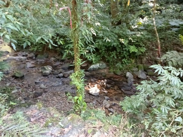 坪林區楣子寮尖+土地公遺址+火燒寮古道+枋山坑古道+枋山坑崙O型2985700