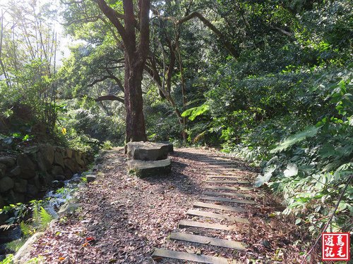 【台北市】十八拐圳步道、風尾步道輕鬆走