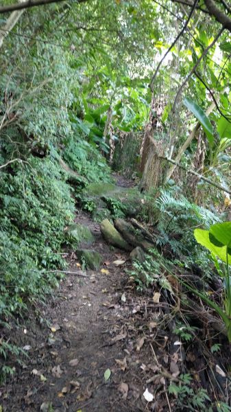 新溪洲山之樂400357