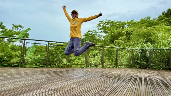 多元化的文山森林公園|天空步道|趣探險之丘|峯花雪月2834952